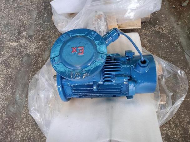 防爆制動(dòng)電機(jī)，防爆制動(dòng)電機(jī)生產(chǎn)廠家排名